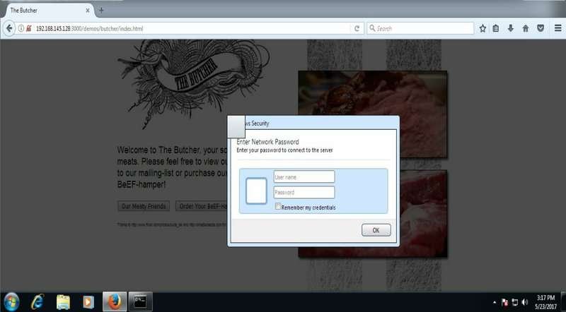Beef casino erfahrungen in Germany